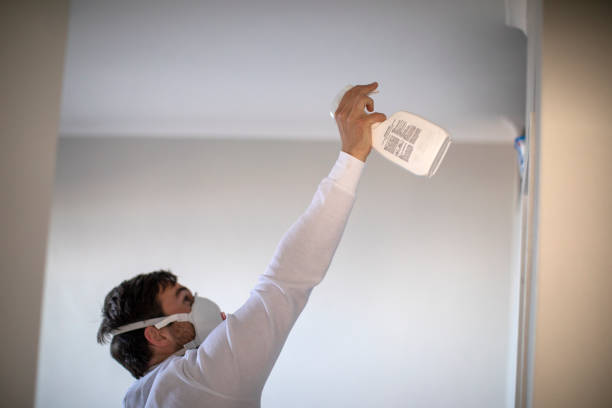 Best Toxic Mold Removal  in Leupp, AZ
