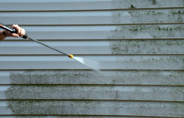 Best Residential Mold Removal  in Leupp, AZ