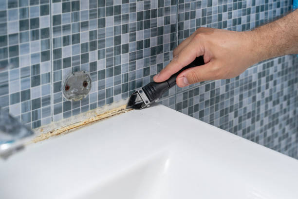Best Affordable Mold Removal  in Leupp, AZ
