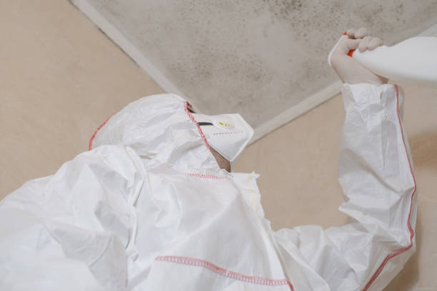 Best Local Mold Removal Service  in Leupp, AZ